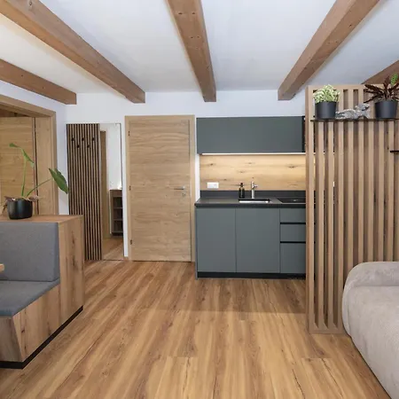 Natural Deluxe Apartment Alpbach